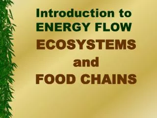 Introduction to ENERGY FLOW