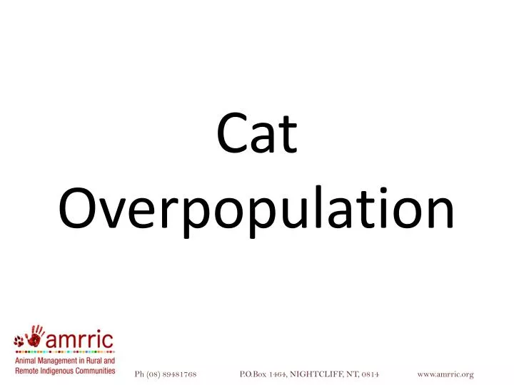 cat overpopulation