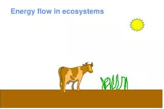 Energy flow in ecosystems