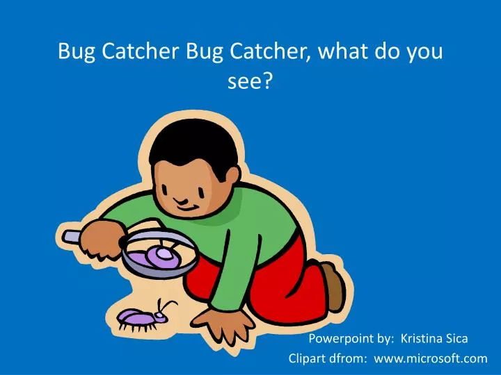 bug catcher bug catcher what do you see