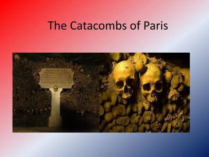 the catacombs of paris