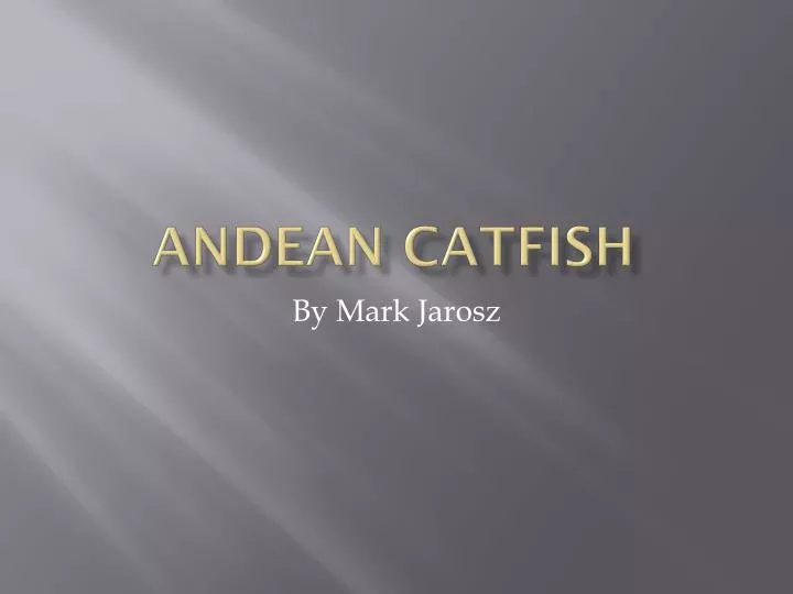 andean catfish