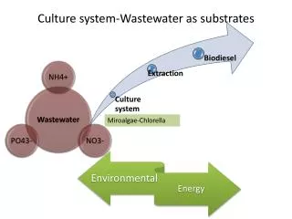 Culture system-Wastewater as substrates