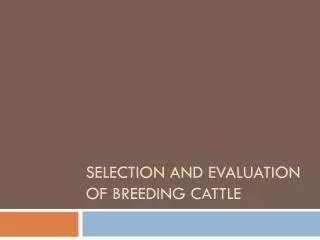 Selection and Evaluation of Breeding Cattle