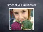 Broccoli &amp; Cauliflower - slide 1