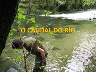 o caudal do r o
