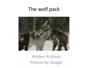 The wolf pack