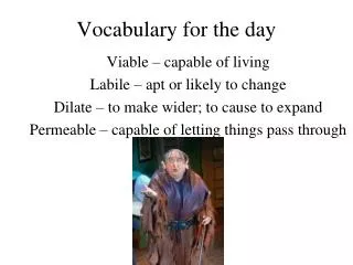 Vocabulary for the day