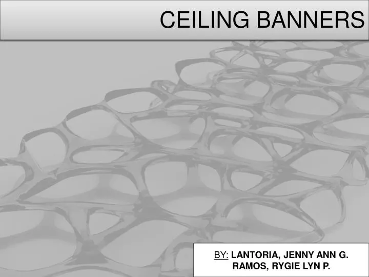 ceiling banners