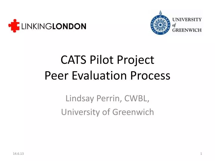 cats pilot project peer evaluation process