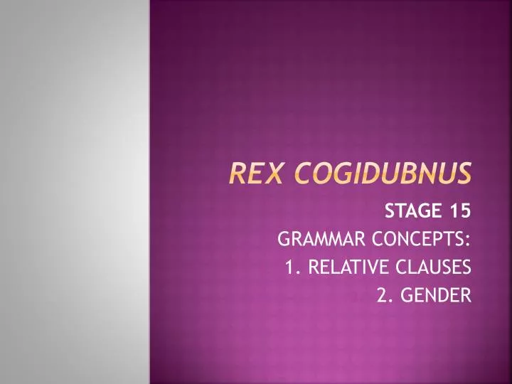 rex cogidubnus