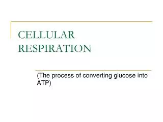 CELLULAR RESPIRATION