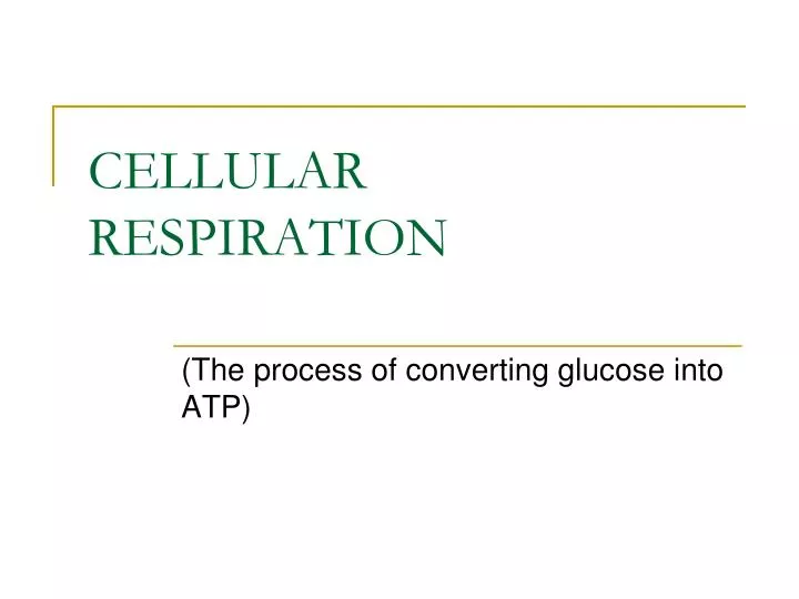 cellular respiration