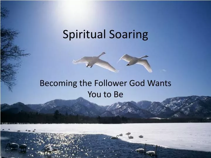 spiritual soaring