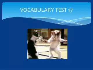 VOCABULARY TEST 17