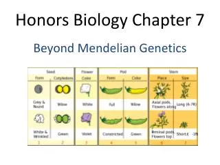 Honors Biology Chapter 7