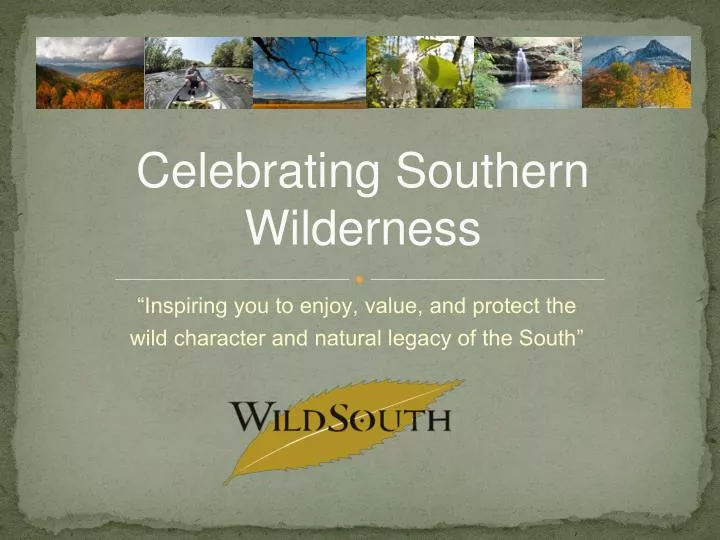 celebrating southern wilderness
