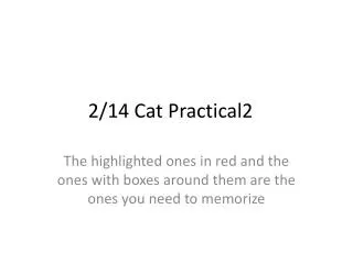 2/14 Cat Practical2