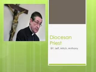 Diocesan Priest