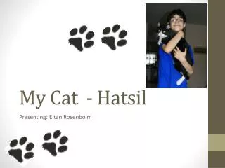 My Cat - Hatsil