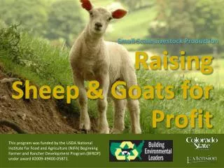 Raising Sheep &amp; Goats for Profit