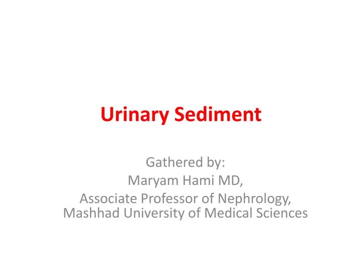 urinary sediment