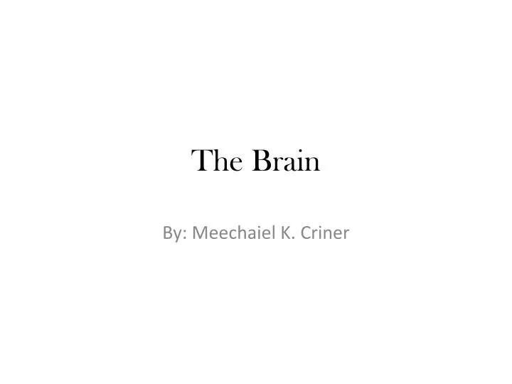 the brain