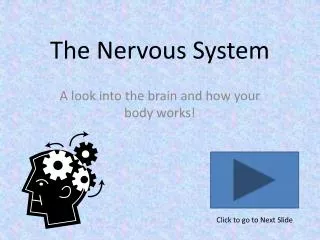 The Nervous System