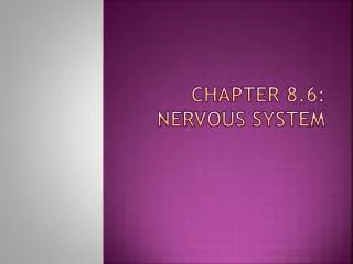 Chapter 8.6: Nervous system