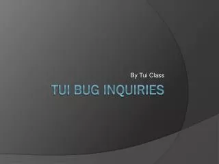 Tui Bug Inquiries