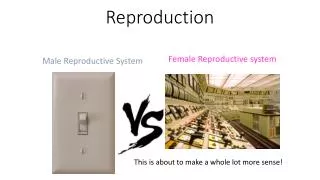 Reproduction