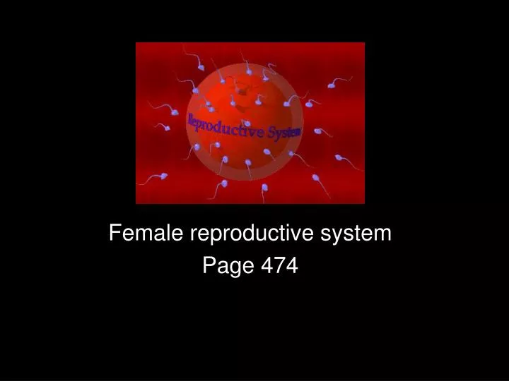 female reproductive system page 474