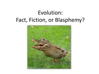 Evolution: Fact, Fiction, or Blasphemy?