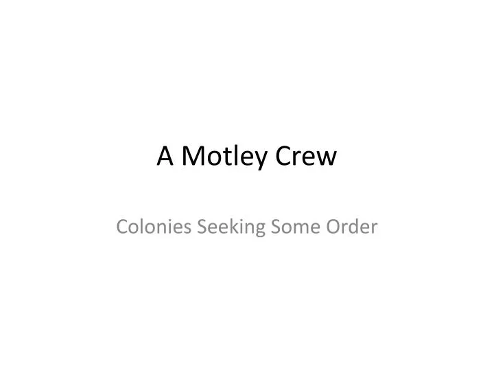 a motley crew