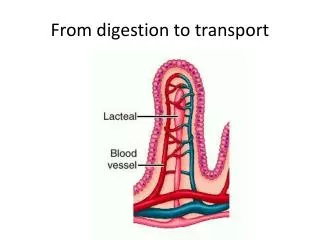 From digestion to transport