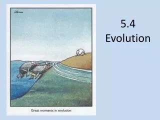 5.4 Evolution