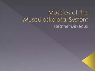 Muscles of the Musculoskeletal System