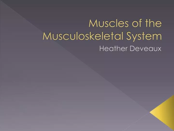 muscles of the musculoskeletal system