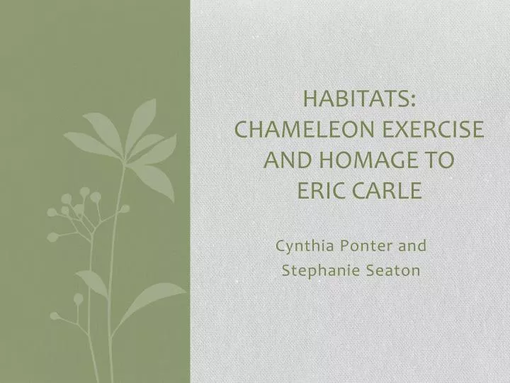 habitats chameleon exercise and homage to eric carle
