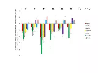 fold regulation of transcript normalized over the untreated control and