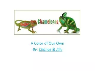 A Color of Our Own By: Chance &amp; Jilly