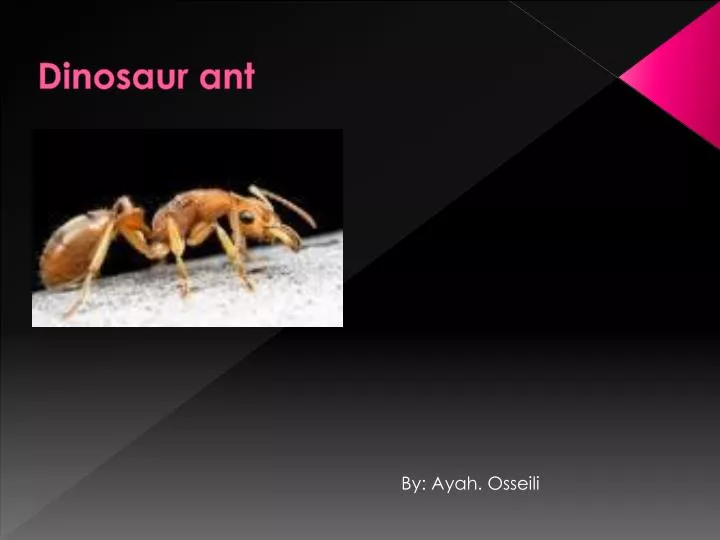 dinosaur ant