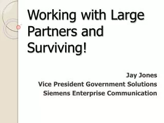 Working with Large Partners and Surviving!