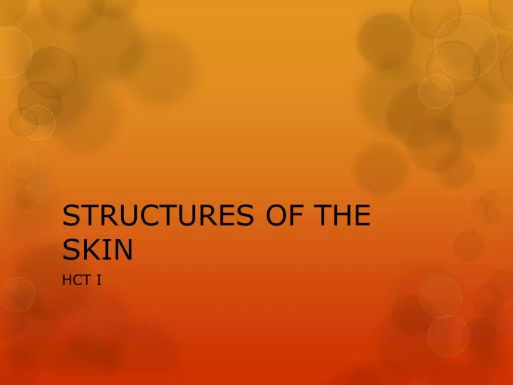 structures of the skin
