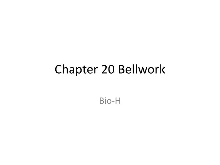 chapter 20 bellwork