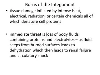 Burns of the Integument