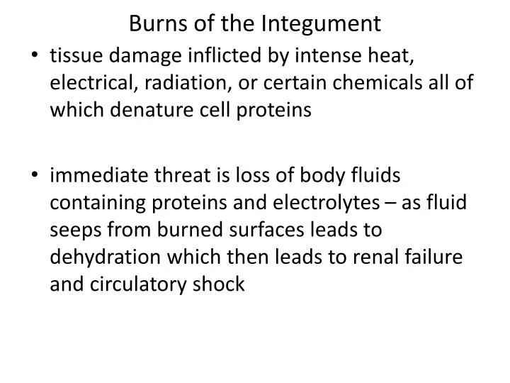 burns of the integument