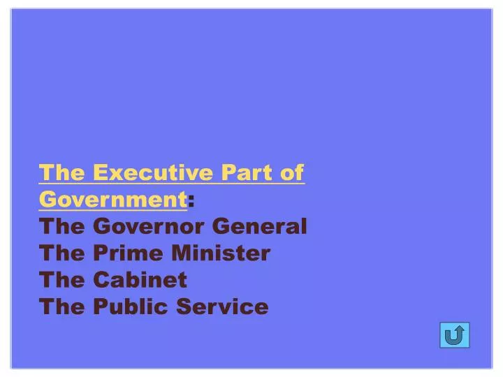 the executive part of government