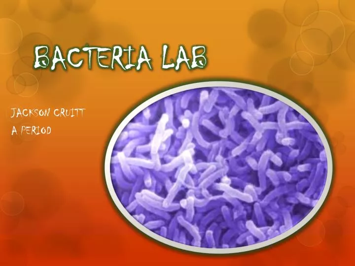bacteria lab