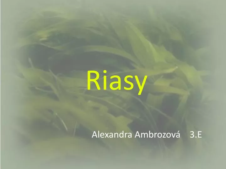 riasy